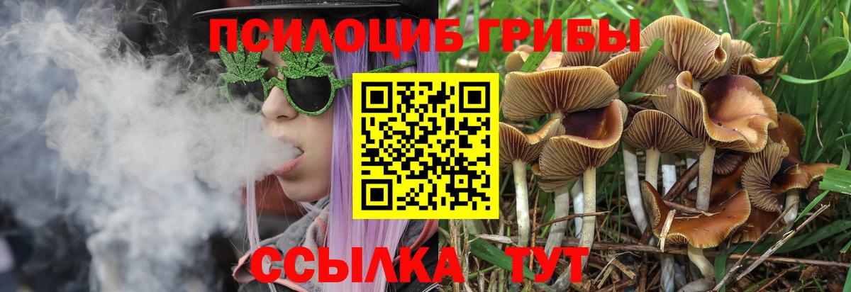 Псилоцибиновые грибы Psilocybe  Галлюциногенные грибы Psilocybe  Усинск  где купить наркоту  Вход с VPN 